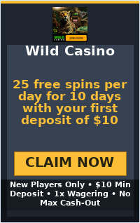 25 free spins per day for 10 days with your first deposit of $10